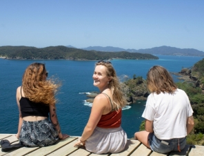 Robertson island